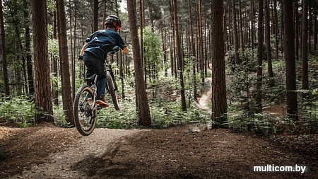 Велосипед Early Rider Hellion 24