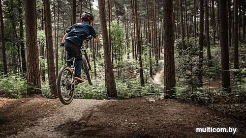 Велосипед Early Rider Hellion 24