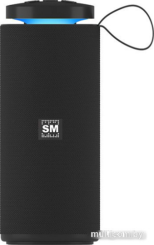 Беспроводная колонка Soundmax SM-PS5015B (черный)