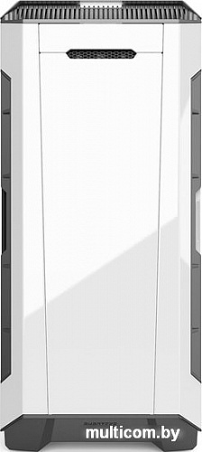 Корпус Phanteks Eclipse P600S PH-EC600PSTG_WT