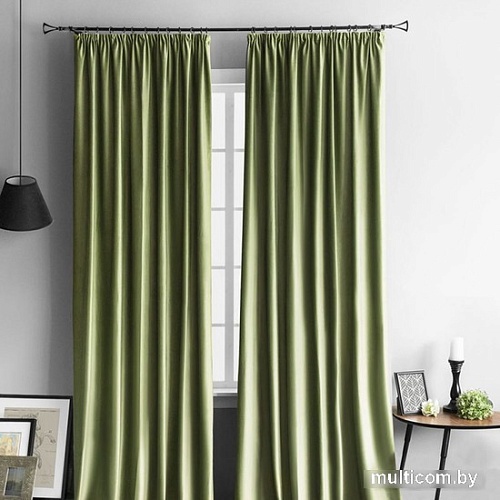 Комплект штор Pasionaria Бархат 290x230 (2 шт, светло-зеленый)