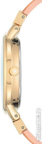 Наручные часы Anne Klein 1408LPLP