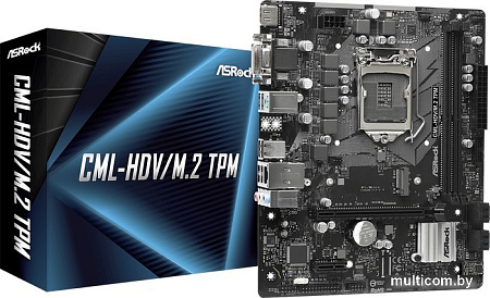 Материнская плата ASRock CML-HDV/M.2 TPM