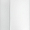 Отопительный котел Ariston Clas XC 28 FF 3301677