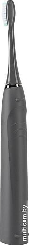 Электрическая зубная щетка Redmond TB4601 (серый)
