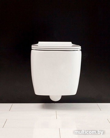 Унитаз BelBagno Aldina BB114CH