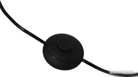 Торшер Maytoni MOD147FL-L20BK1