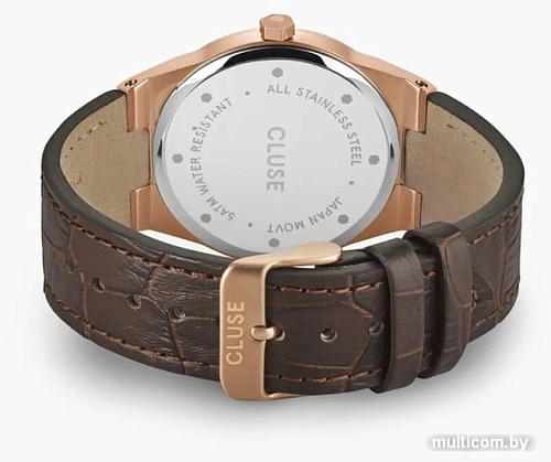 Наручные часы Cluse Vigoureux CW0101503002