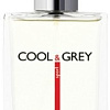 Dilis Parfum Cool&amp;Grey Sport EdT 100 мл