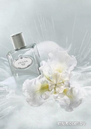 Парфюмерная вода Prada Infusion d'Iris Cedre EdP (100 мл)
