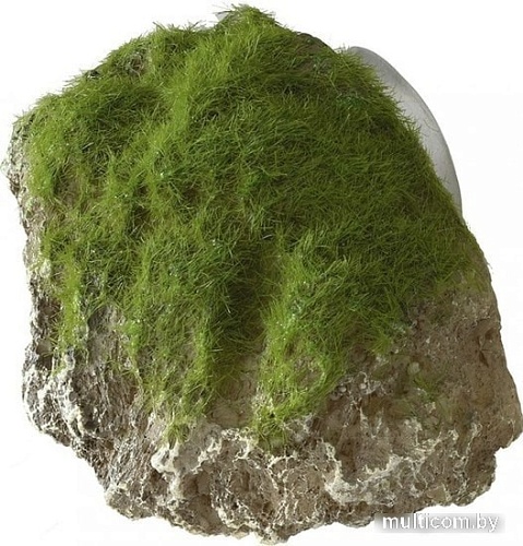 Декорация Aqua Della Moss Stone 234/430149