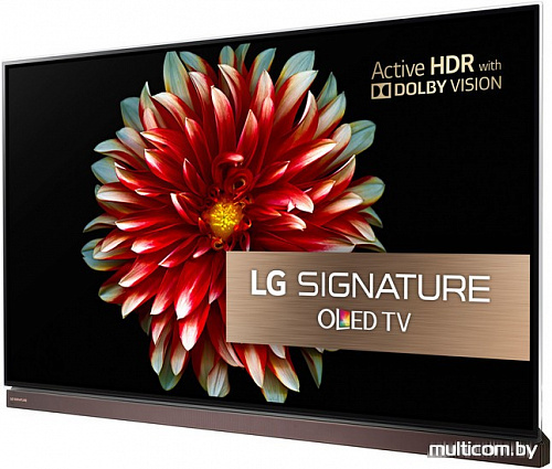 Телевизор LG OLED65G7V