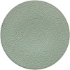 Тарелка обеденная Corone Nori LQ-QK15285-GRE фк5602 (зеленый)