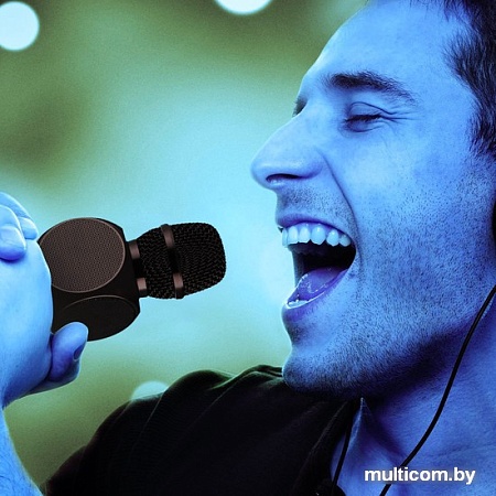 Микрофон Gmini GM-BTKP-03B