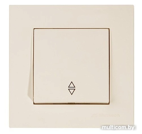 Выключатель Mutlusan Rita 22204030102