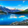 Телевизор TCL 43P617