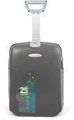 Чемодан-спиннер Francesco Molinary 337-HL301/3-27GRY (серый)