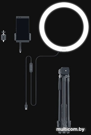 Кольцевая лампа Razer Ring Light 12"