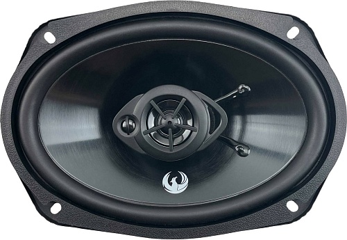 Коаксиальная АС Phoenix Gold Z69CXi