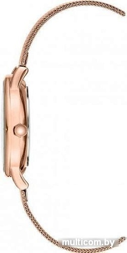 Наручные часы Anne Klein 3722GMRG