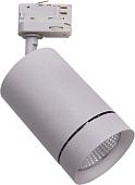 Трековый светильник Lightstar Canno 303594