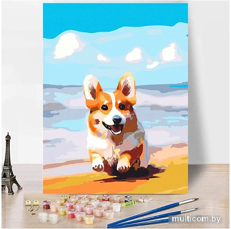 Картина по номерам Red Panda Корги На Берегу p54740