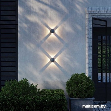 Novotech Calle 358464