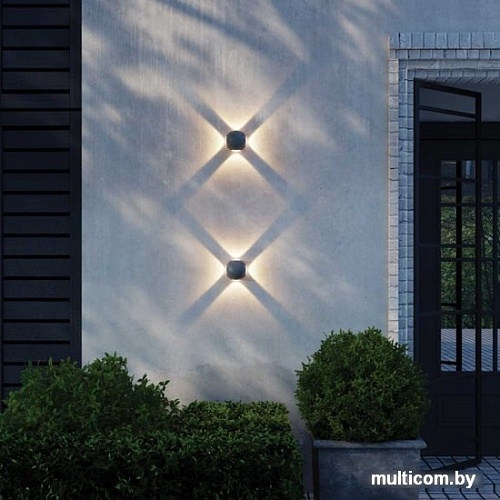 Novotech Calle 358464