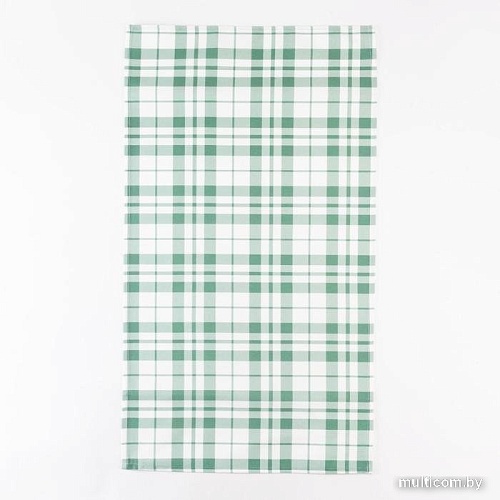 Полотенце Этель Eucalyptus 5511175 (белый/зеленый)