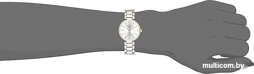 Наручные часы Anne Klein 1871SVTT