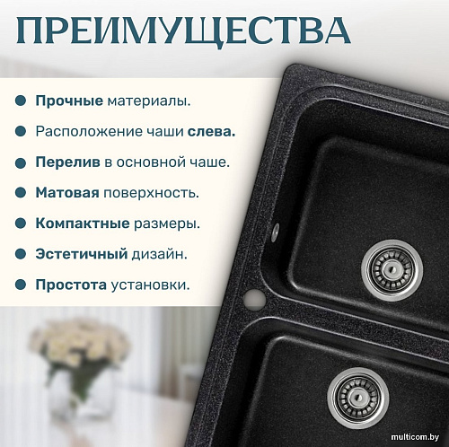 Кухонная мойка Saniteco Vetus (черный)
