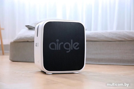 Очиститель воздуха Airgle AG300