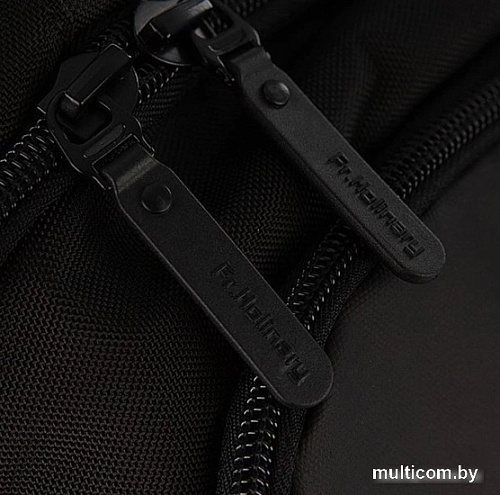 Городской рюкзак Francesco Molinary 304-GB00444-BLK (черный)