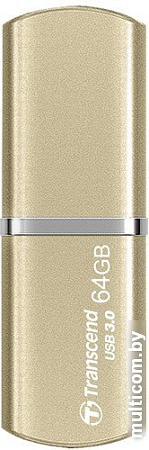 USB Flash Transcend JetFlash 820G 64GB (TS64GJF820G)