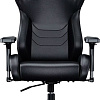 Игровое (геймерское) кресло AndaSeat Frontier AD12Y-12-B-PV (черный)