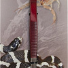 Пинцет для кормления Lucky Reptile прямой PG-20