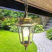 Уличный подвесной светильник ЭРА НСУ 06-60-001 Б0048109