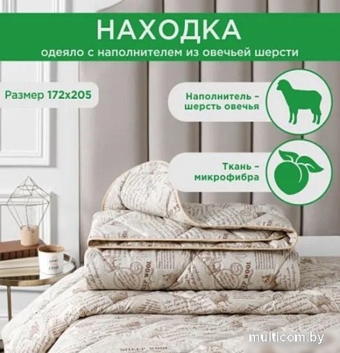 Одеяло Даргез Находка 20(33)323 (172x205)