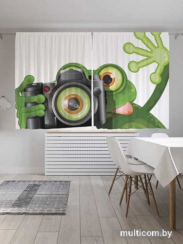 Комплект штор JoyArty Лягушка фотограф Oxford DeLux 1.45x1.8 м (2 шт)