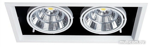 Точечный светильник Arte Lamp Merga A8450PL-2WH
