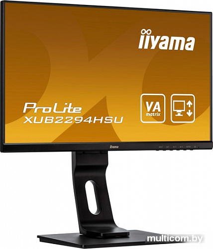 Монитор Iiyama XUB2294HSU-B1