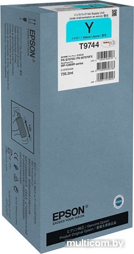 Чернила Epson C13T974400