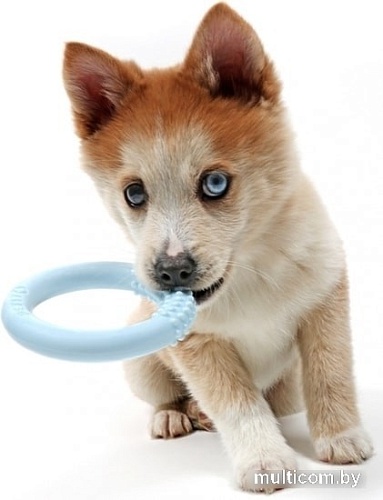 Игрушка для собак EBI Petit Lola 309/449370