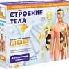 Набор для опытов ND Play Строение тела NDP-119