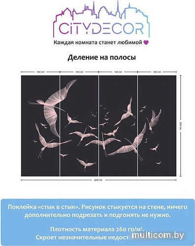 Виниловые обои Citydecor Perfect Lines 13 400x260