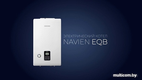 Отопительный котел NAVIEN EQB-12HW