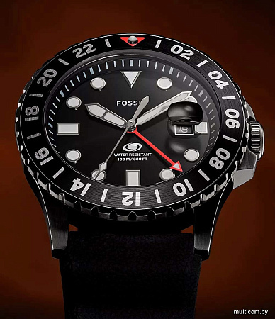 Наручные часы Fossil FS6036