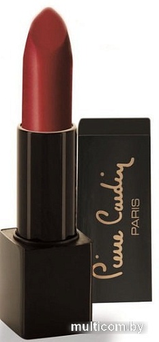 Губная помада Pierre Cardin Retro матовая 156 Brown Red