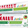 Зубная паста LACALUT Junior 6+ 65 г