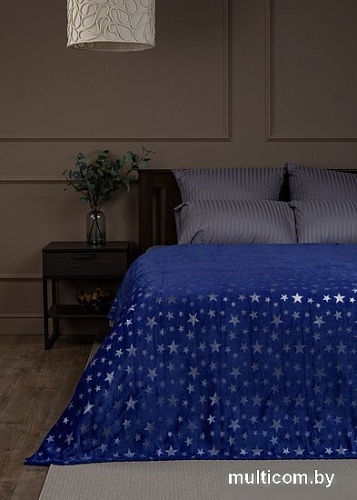 Плед Tex Republic TF FNL BL-SL 1520 19-3952 150x200 см (синий)